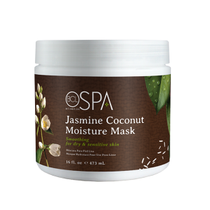 BCL SPA Jasmine Coconut Moisture Mask 16 oz (454 gr)